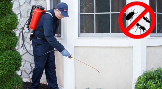 Doğankent Karınca İlaçlama böcek ilaçlama ve haşere kontrolü — ilaclama-tr.com